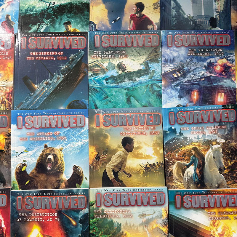 22 Books/set I Survived Englis - Survival Kit incelemesi ve fiyatı