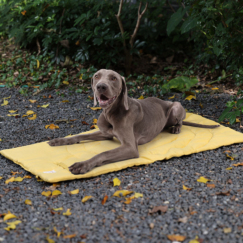 Portable Pet Mat Foldable Pet  - Outdoor Camping Dog Kennel incelemesi ve fiyatı
