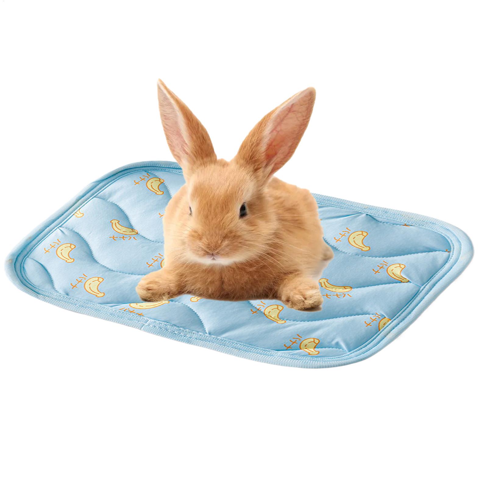 Portable Durable Pet Cooling M - Outdoor Camping Dog Kennel incelemesi ve fiyatı